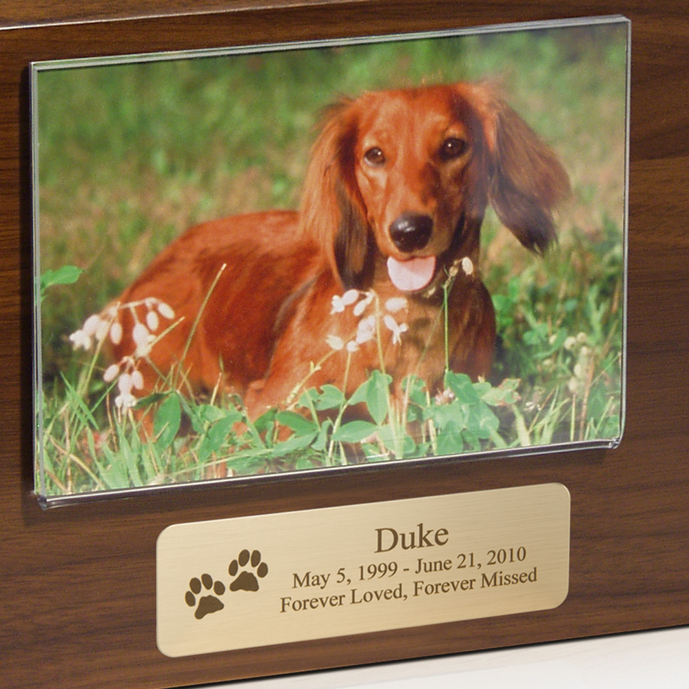 Small Walnut Photo Pet Cremation Urn Perfect Memorials