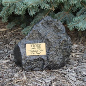 Charcoal Rock Large Cremation Urn - Engravable
