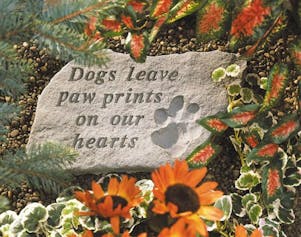 Dogs Leave Paw Prints - Dog Garden Stone